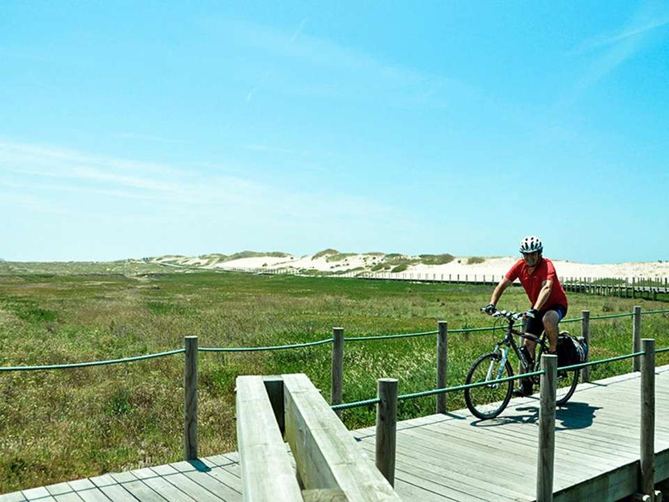 Camino de Santiago Biking Adventure 7D/6N (from Porto) - Bamba - Portugal - Image 5