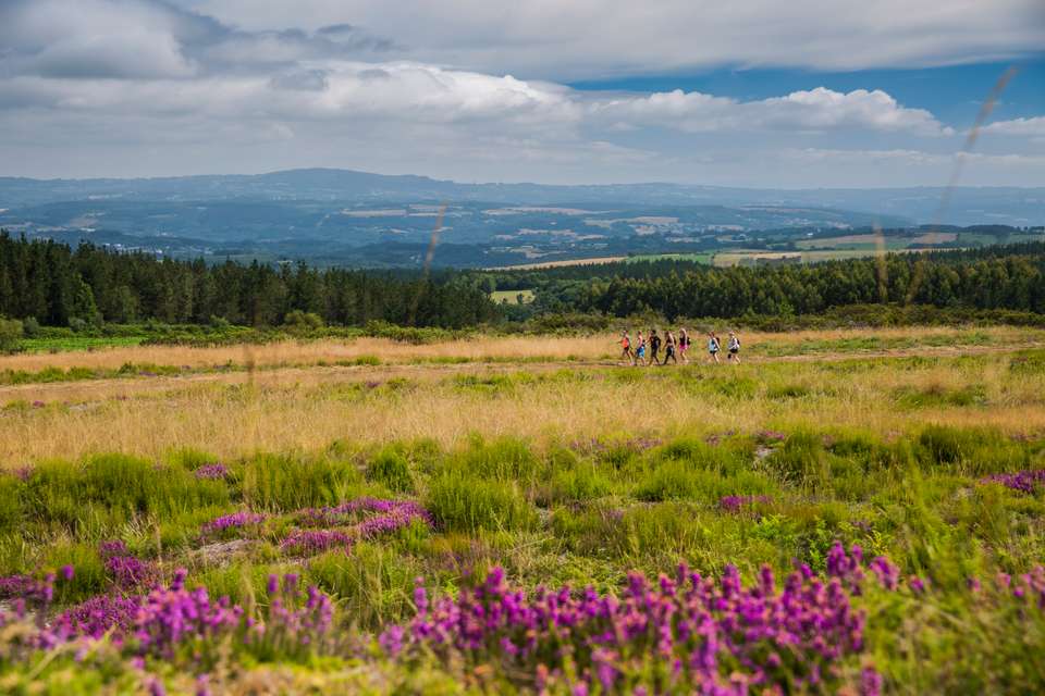 Camino de Santiago Encompassed - G Adventures - Spain