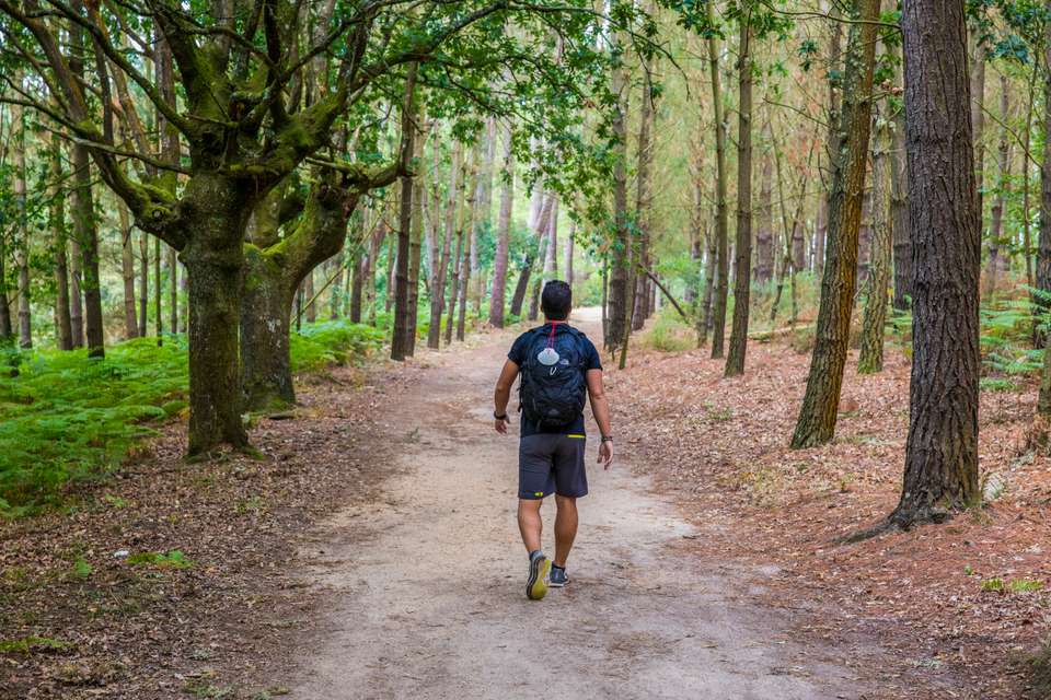 Camino de Santiago Encompassed - G Adventures - Spain