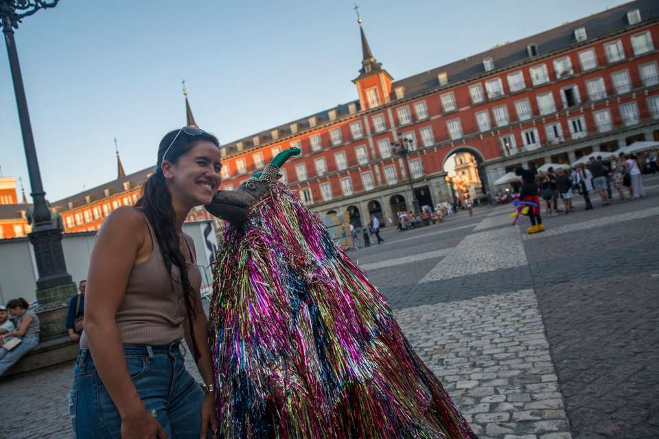 Camino de Santiago Encompassed - G Adventures - Spain