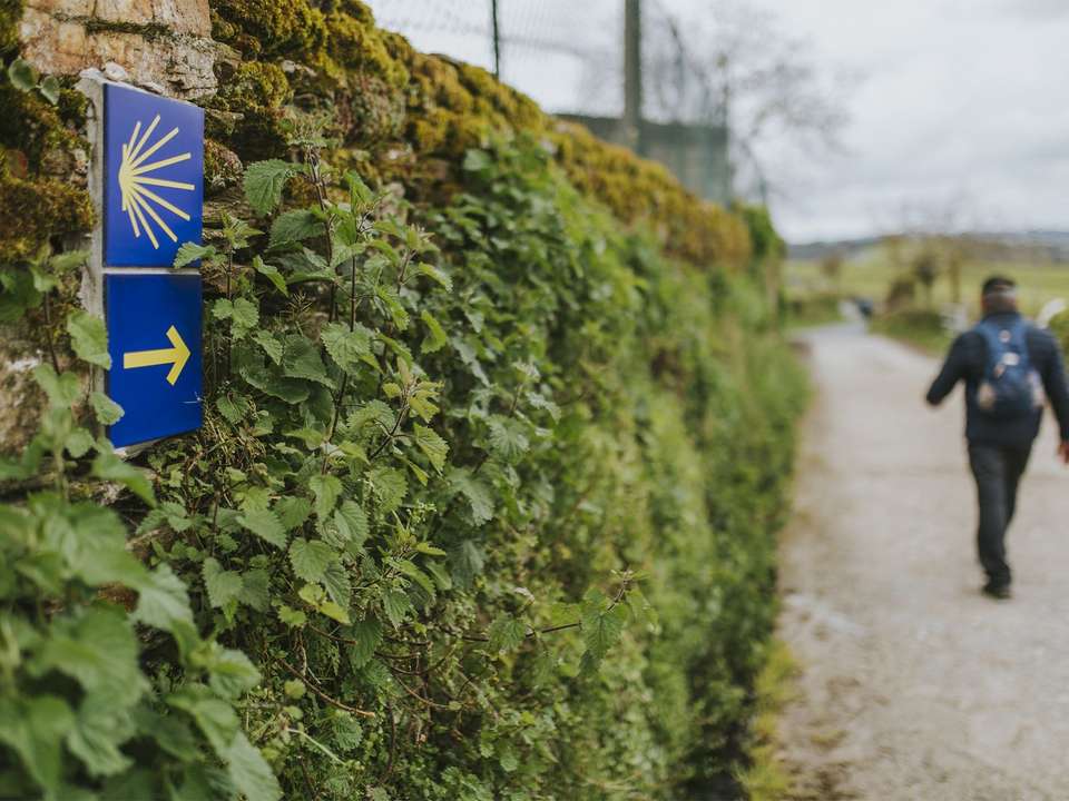 Camino de Santiago The Portuguese Way - 8 days - On The Go Tours - Spain - Image 2