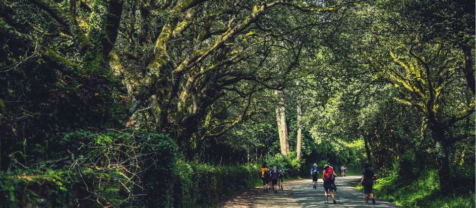 Camino Ingles: The English Way to Santiago de Compostela - Utracks - Spain - Image 4