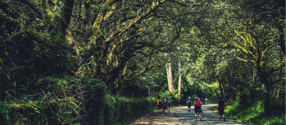 Camino - Leon to Santiago - Utracks - Spain - Image 9