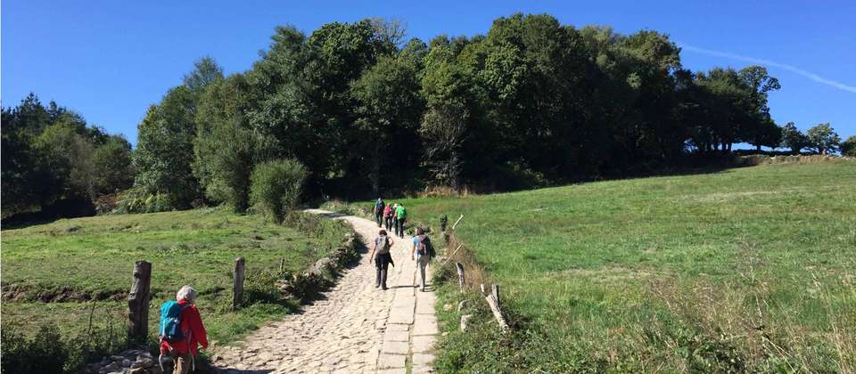 Camino - Leon to Santiago in 15 Days - Utracks - Spain