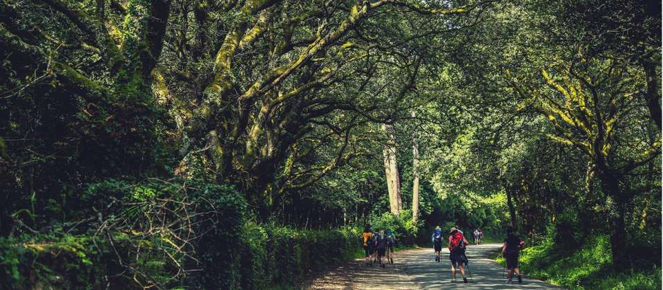 Camino - Leon to Santiago in 15 Days - Utracks - Spain