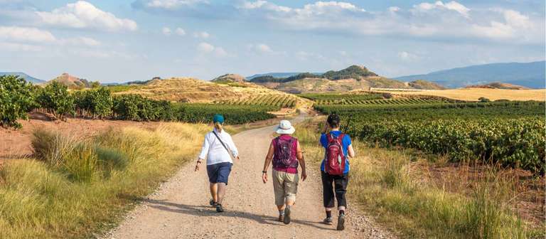Spain Winter adventure Tour: Camino - Logrono to Burgos