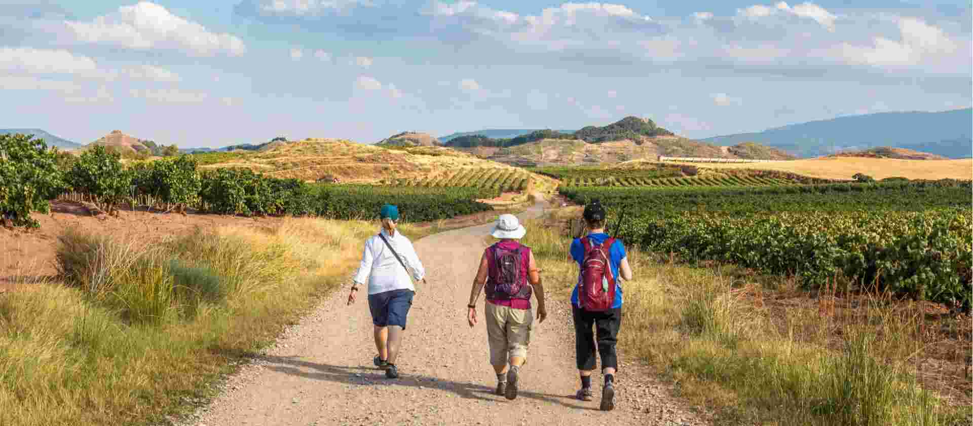 Camino - Logrono to Burgos