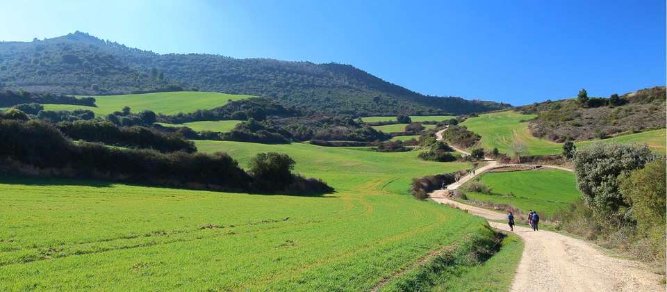 Camino - Logrono to Burgos - Utracks - Spain - Image 2