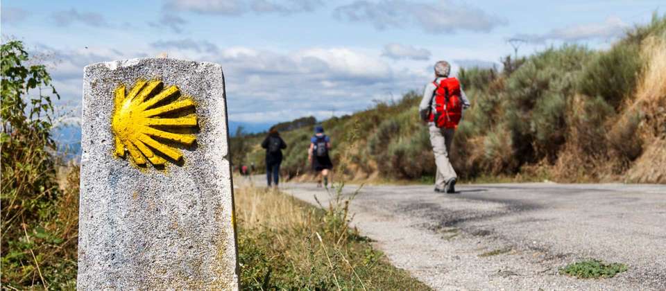 Camino - Logrono to Burgos - Utracks - Spain - Image 4