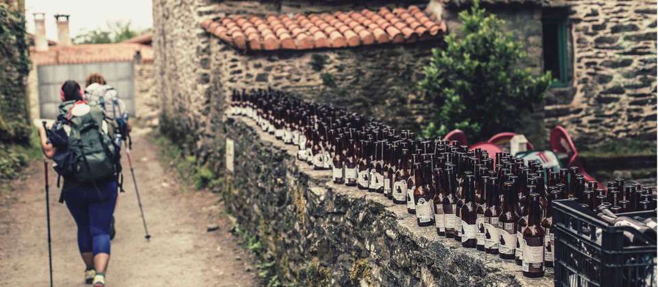 Camino - Logrono to Burgos - Utracks - Spain - Image 6