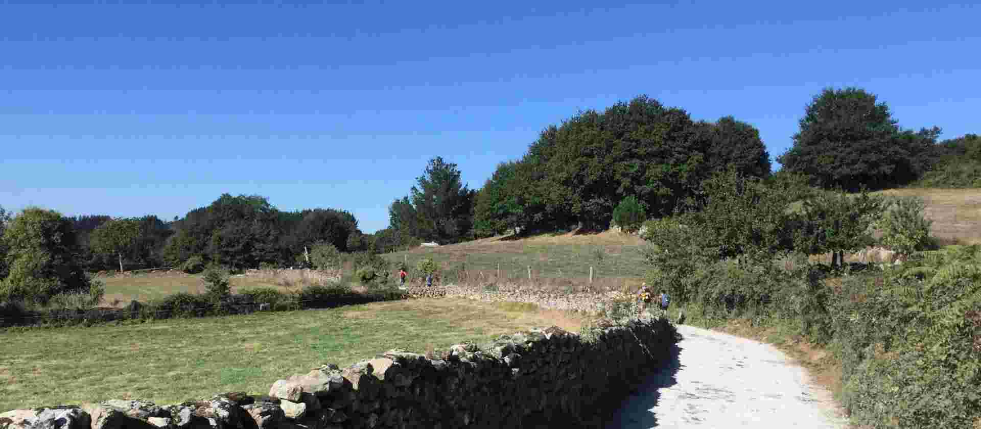 Camino - Pilgrims and Paradors