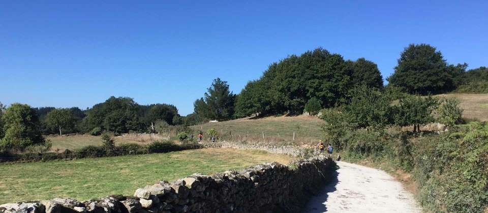 Camino - Pilgrims and Paradors - undefined - Image 2