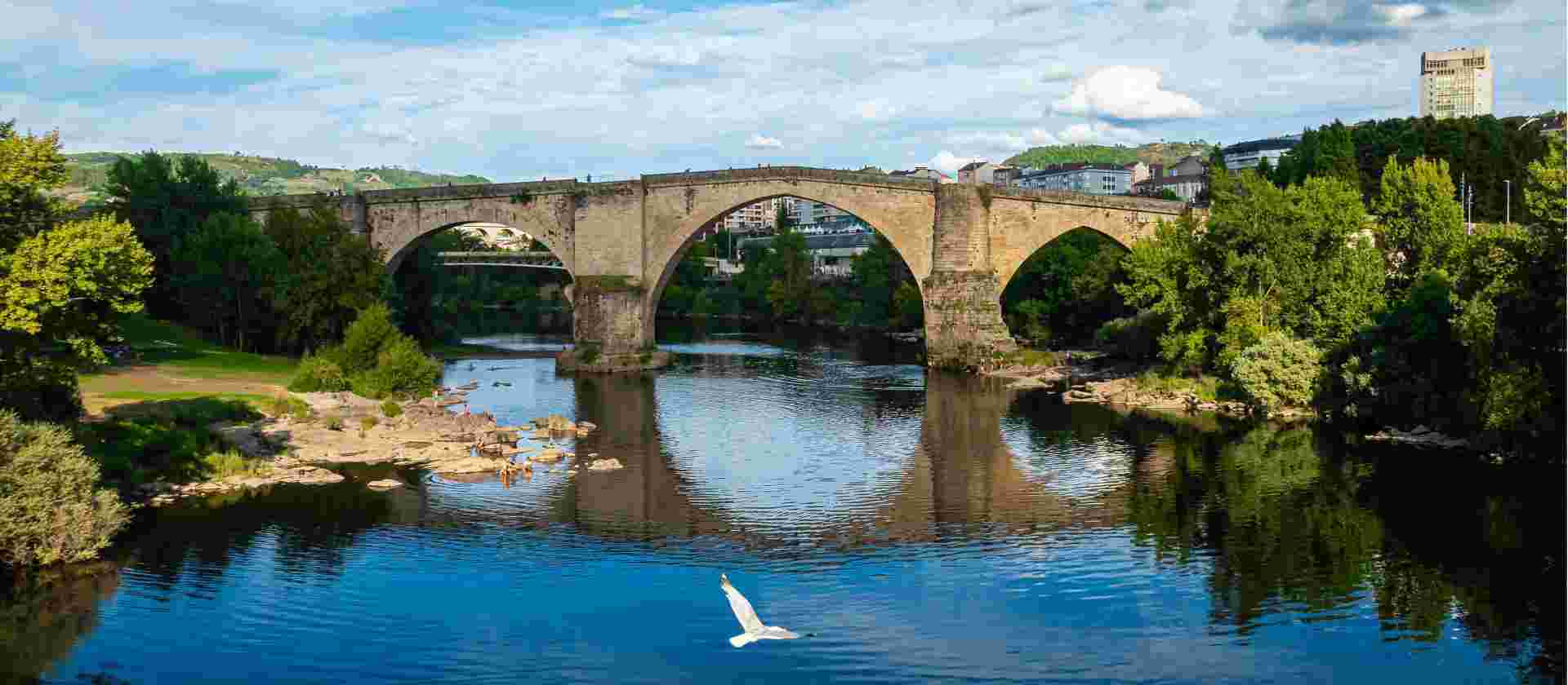 Camino Sanabrés to Santiago
