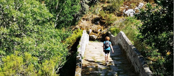 Image 3 of 9