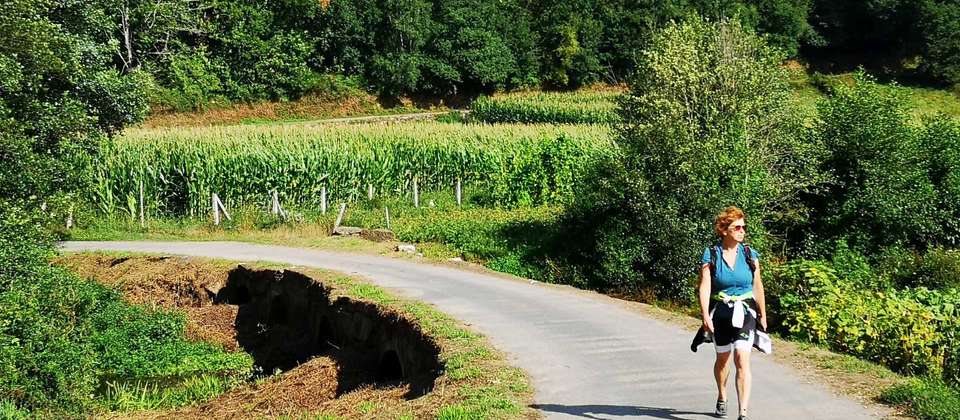 Camino Sanabrés to Santiago - Utracks - Spain - Image 6