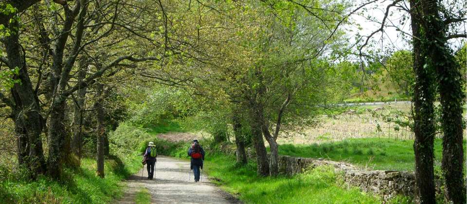 Camino - Sarria to Santiago Rambler - Utracks - Spain - Image 2