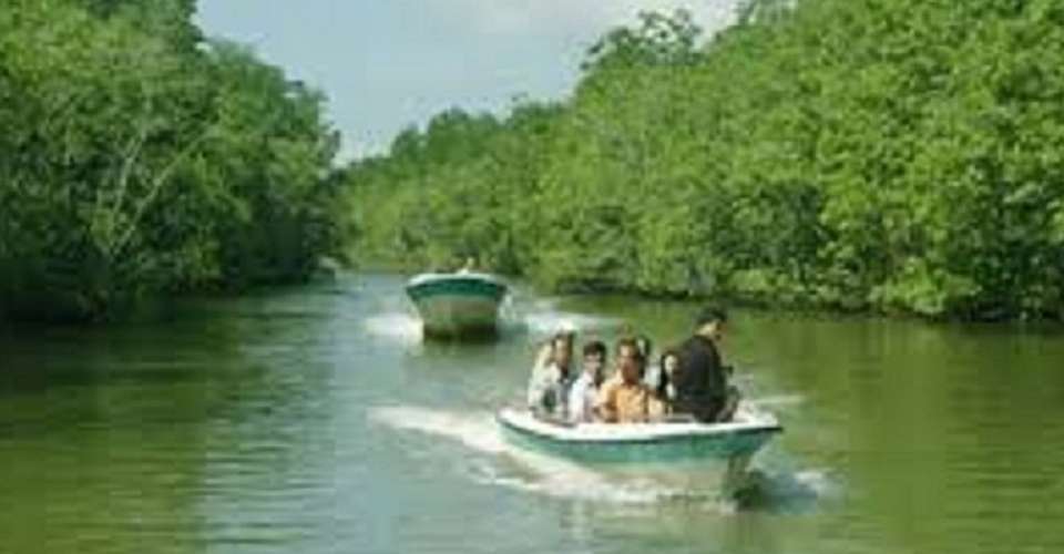 Can Gio Ecologic Area Excurions (Monkey Island) full day  - Roadstour Vietnam - Vietnam - Image 3