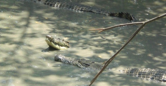 Image 4 of 4
