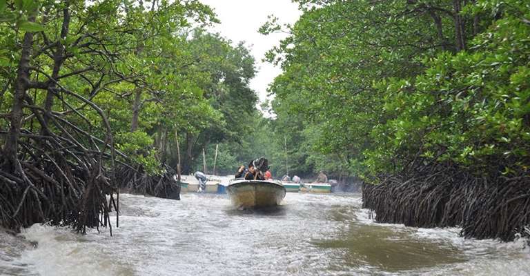 Can Gio - Monkey Island Excursion From Ho Chi Minh city trip - alternative tour available
