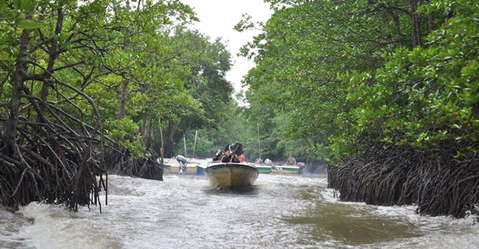 Can Gio - Monkey Island Excursion From Ho Chi Minh city - undefined - Image 1
