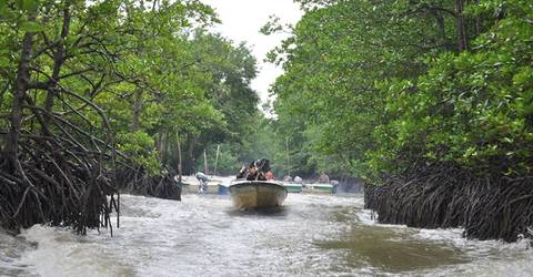 Can Gio - Monkey Island Excursion From Ho Chi Minh City - 8 Hours