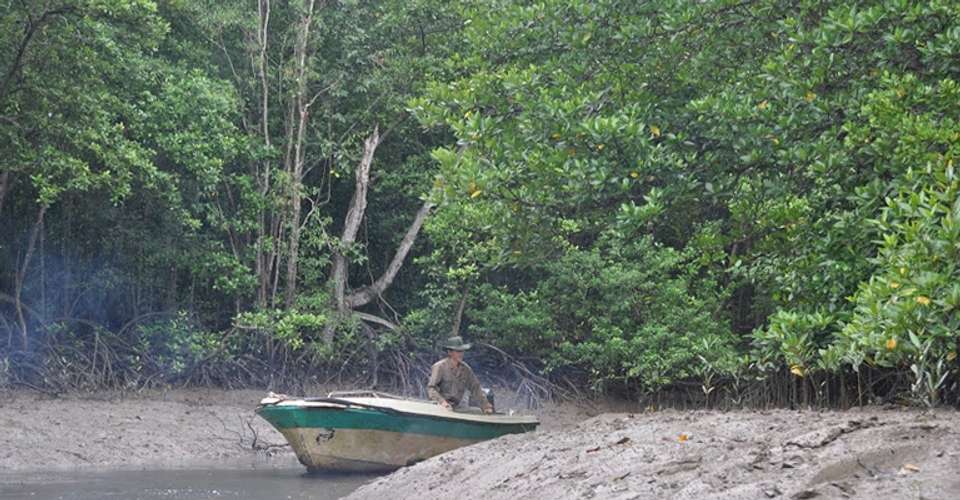 Can Gio - Monkey Island Excursion From Ho Chi Minh city - undefined - Image 3