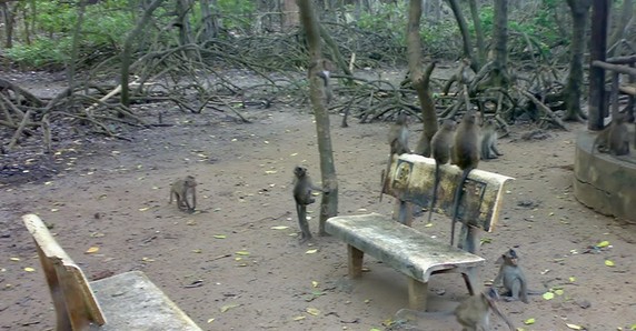 Image 5 of 6