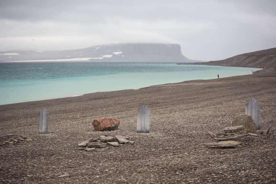 Canadian Arctic: Wildlife, Helicopters, & the Northwest Passage (Nuuk) - undefined - Image 7
