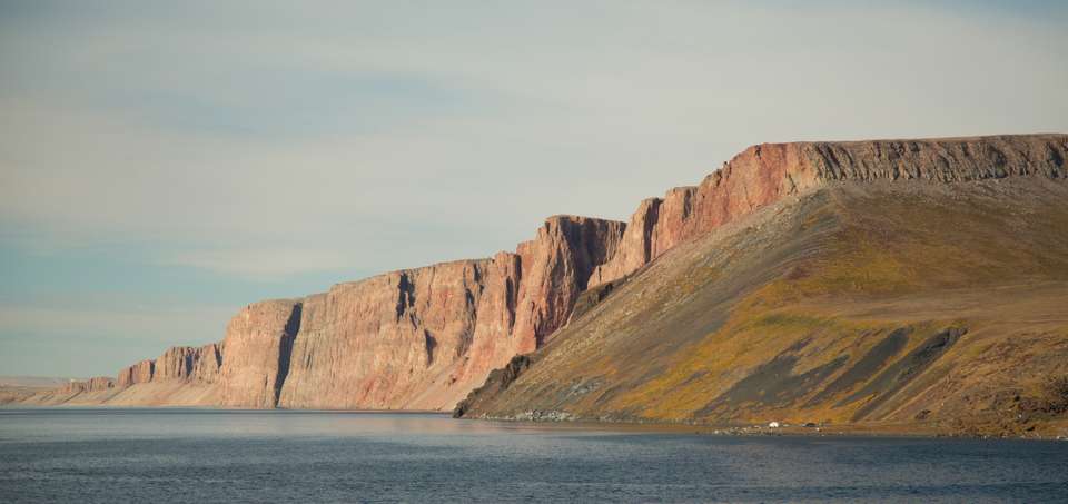 Canadian Arctic: Wildlife, Helicopters, & the Northwest Passage (Nuuk) - undefined - Image 11