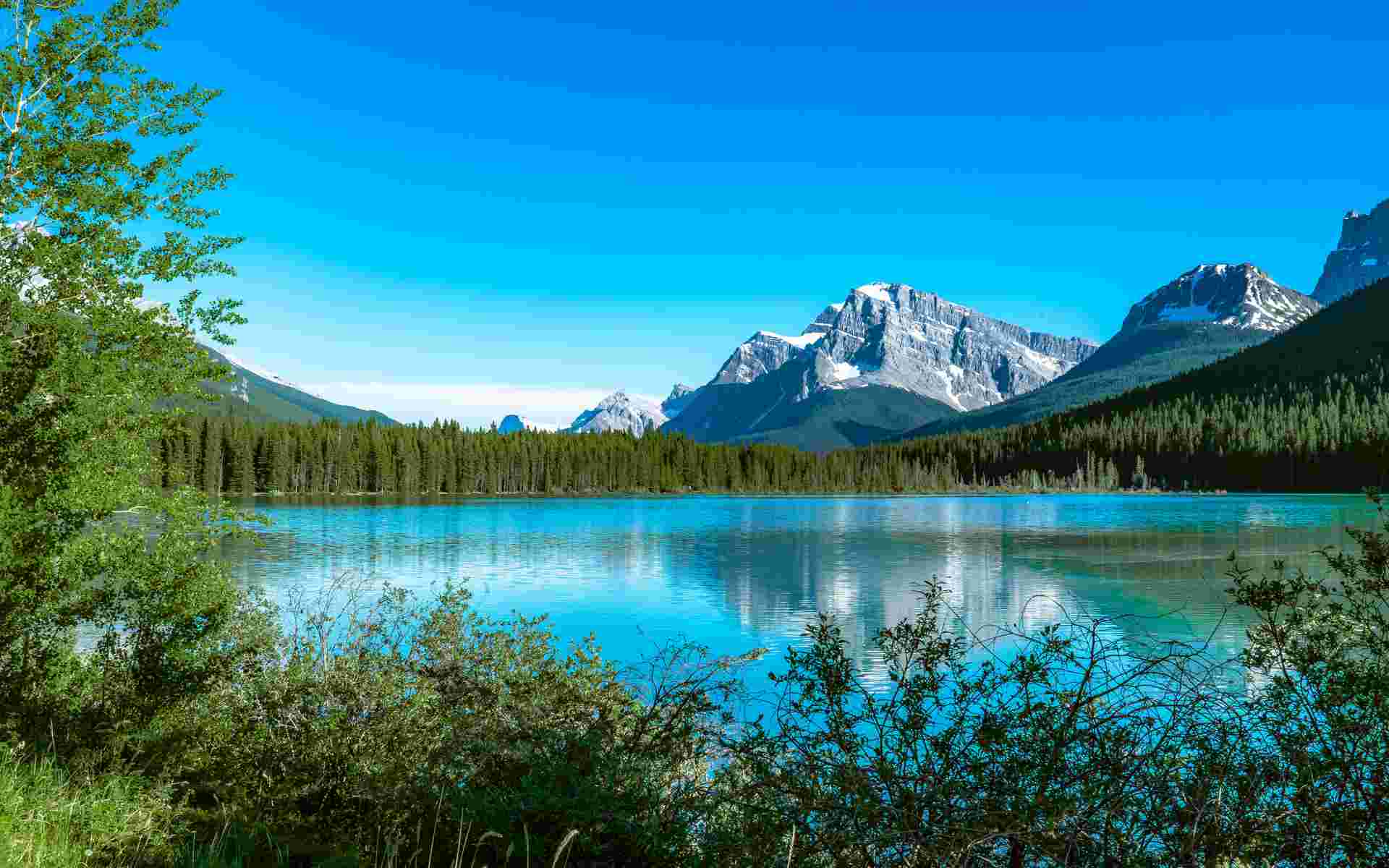 Canadian Rockies by Train 