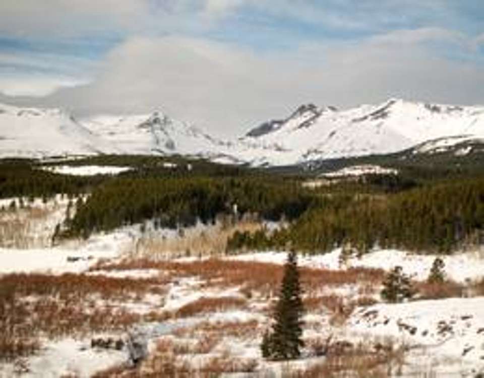 Canadian Rockies Express - 4 days - On The Go Tours - Canada - Image 3