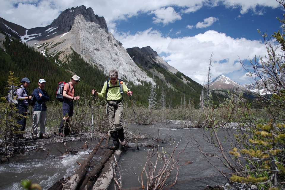 Canadian Rockies: Heli-Hike & Wilderness - undefined - Image 3