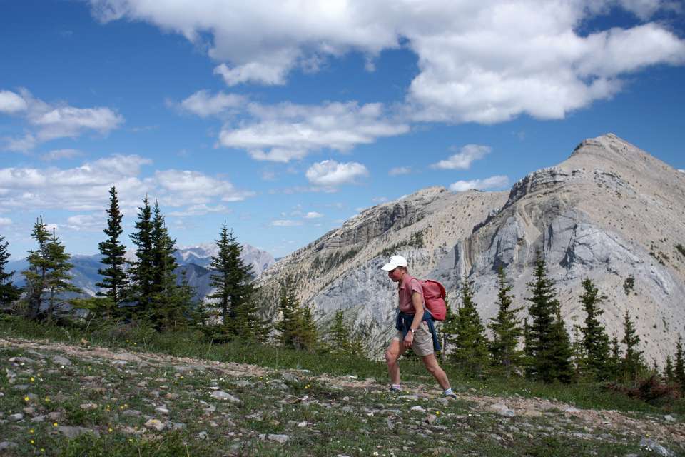 Canadian Rockies: Heli-Hike & Wilderness - undefined - Image 6