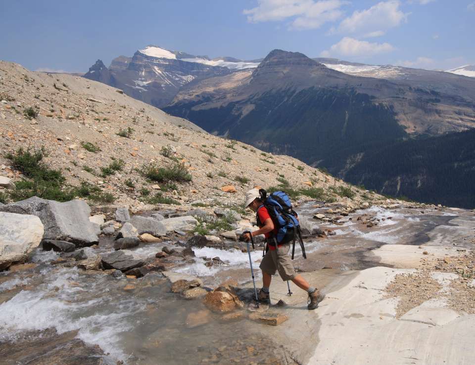 Canadian Rockies: Heli-Hike & Wilderness - undefined - Image 9