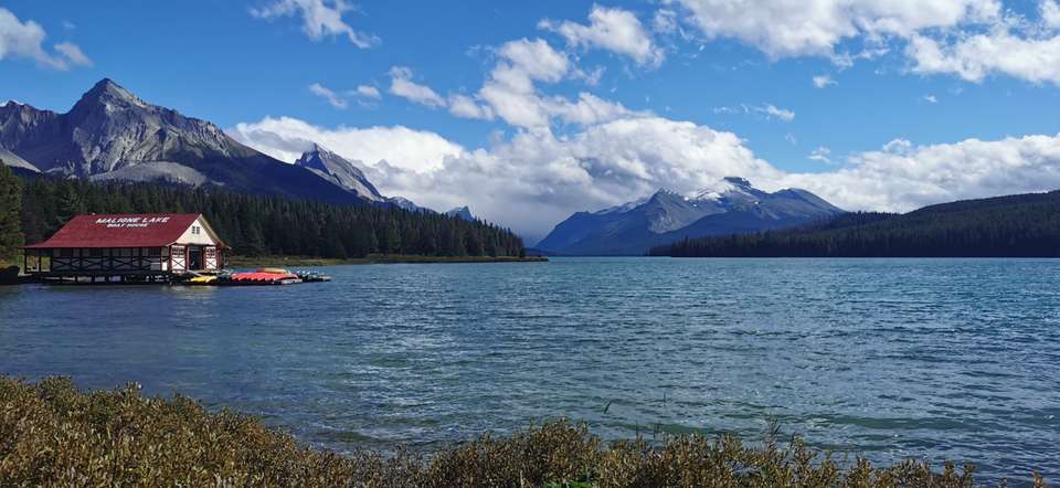 Canadian Rockies: Heli-Hike & Wilderness - undefined - Image 10