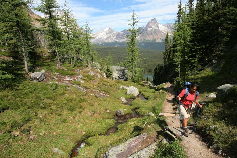 Canadian Rockies: Heli-Hike & Wilderness trip - alternative tour available