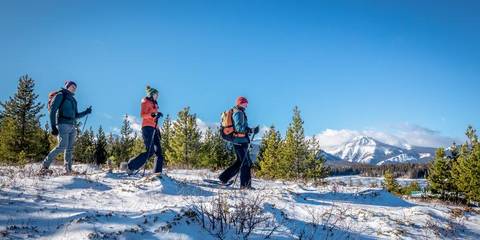 Calgary Explorer Tour: Canadian Rockies Winter Adventure