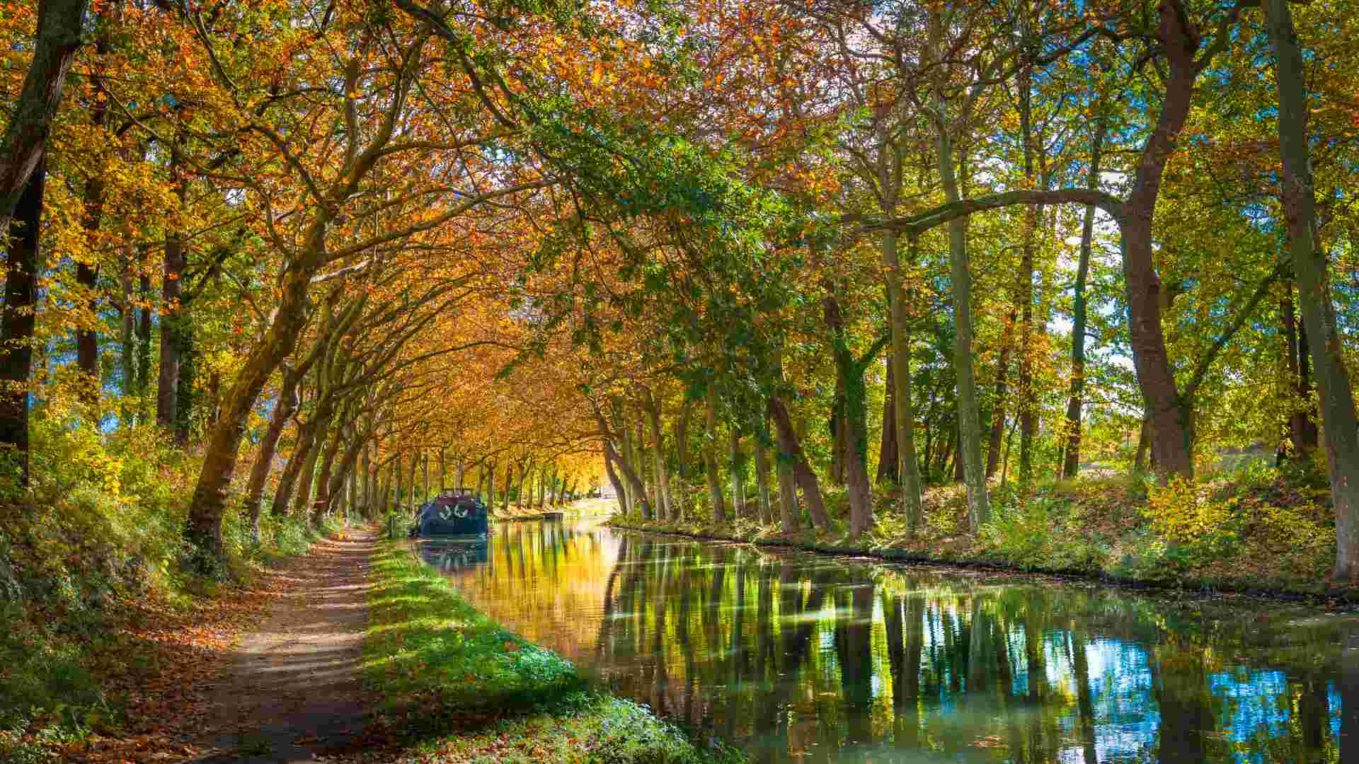 Canal du midi Cycling : from Toulouse to Sete