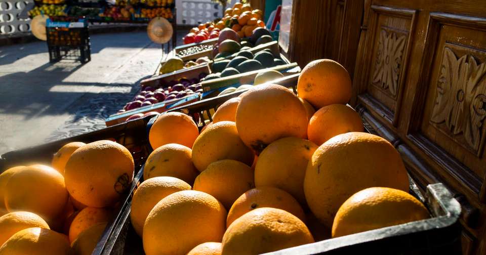 Canary Islands Walking - Gran Canaria - Explore - Spain - Image 6