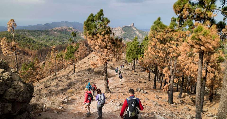 Canary Islands Walking - Gran Canaria - Explore - Spain - Image 7