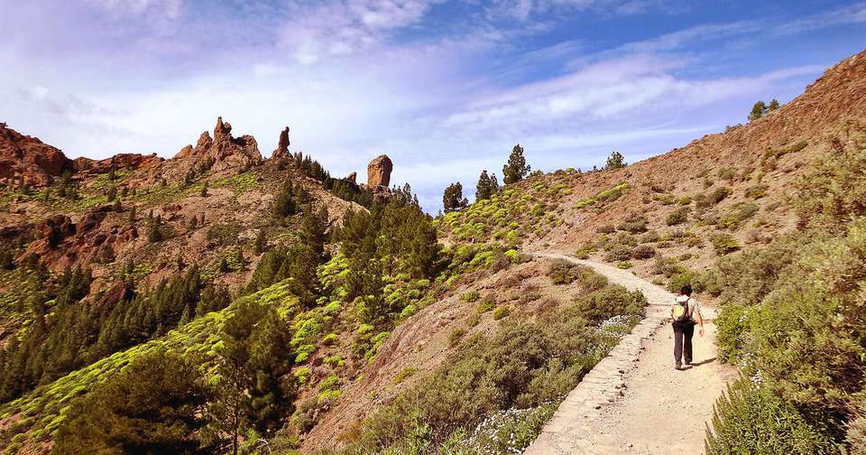 Canary Islands Walking - Gran Canaria - Explore - Spain - Image 9