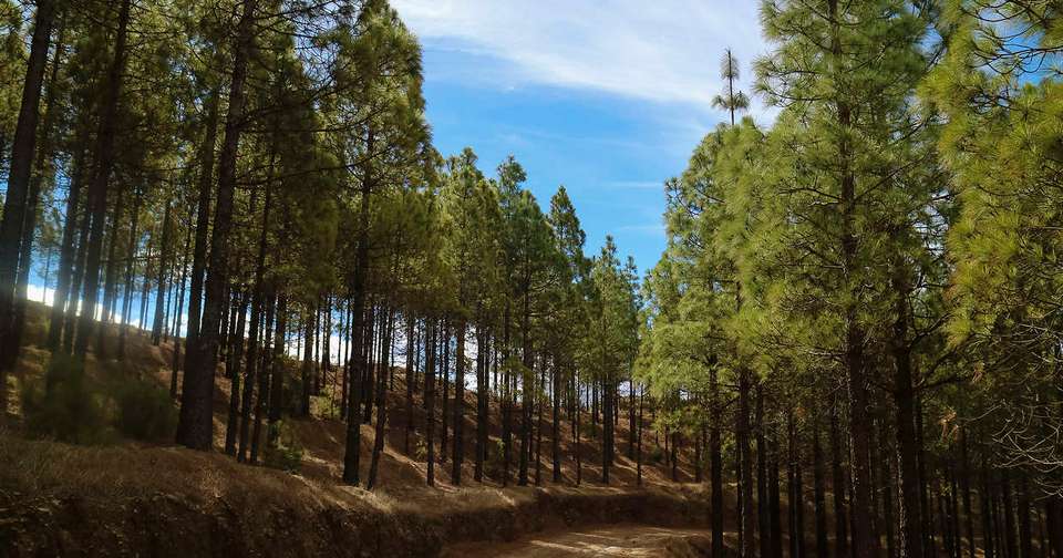 Canary Islands Walking - Gran Canaria - Explore - Spain - Image 11