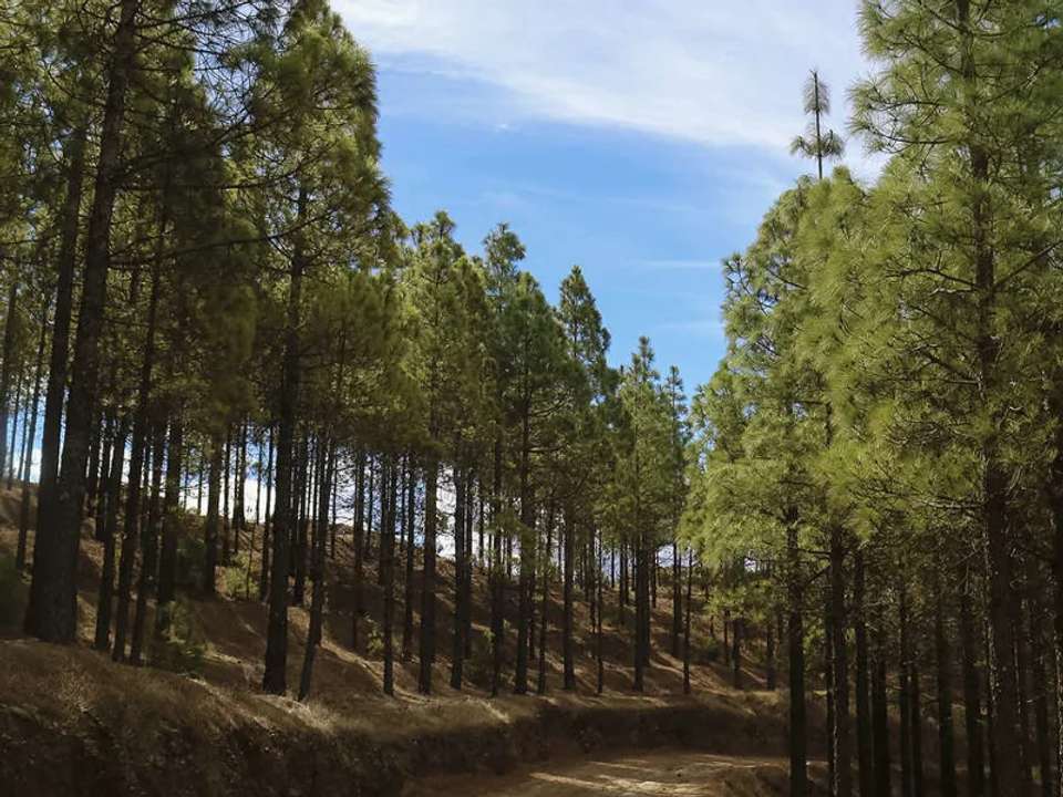 Image 13 of 17