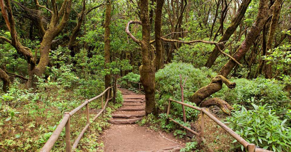 Canary Islands Walking - La Gomera and Tenerife - Explore - Spain - Image 2