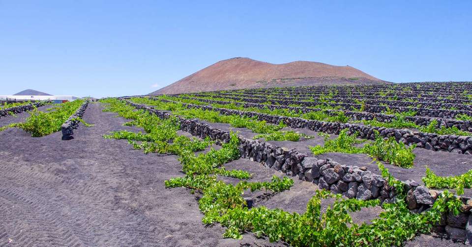 Canary Islands Walking - Lanzarote - undefined - Image 7