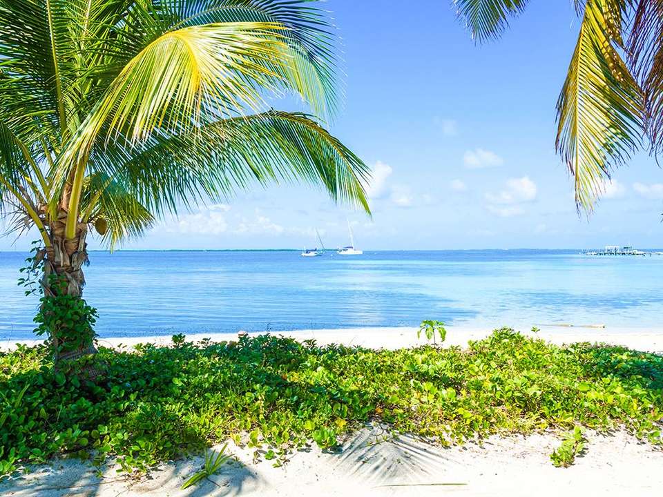 Cancun to Antigua Express Travel Pass - Bamba - Mexico - Image 3