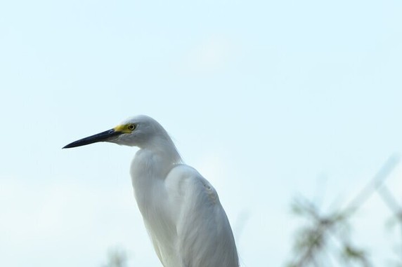 Image 5 of 8