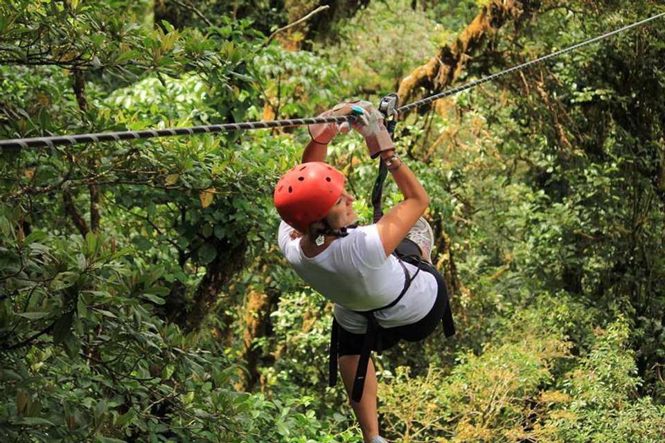 Canopy Adventure From Monteverde - undefined - Image 2