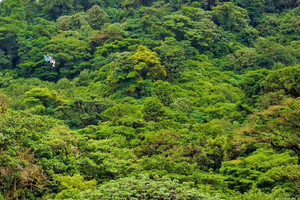 Canopy Adventure From Monteverde - undefined - Image 5