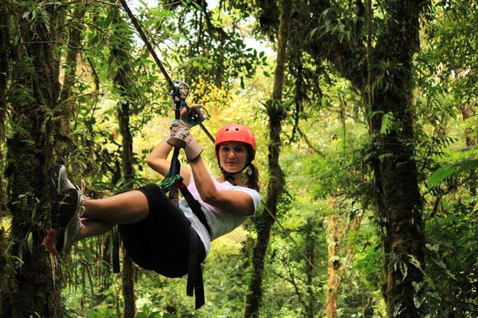Canopy Zipline And Butterflies From Monteverde - Destination Services - Costa Rica - Image 3